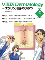 『Ｖｉｓｕａｌ　Ｄ．　２０２５年５月号　Ｖｏｌ．２４　Ｎｏ．５』